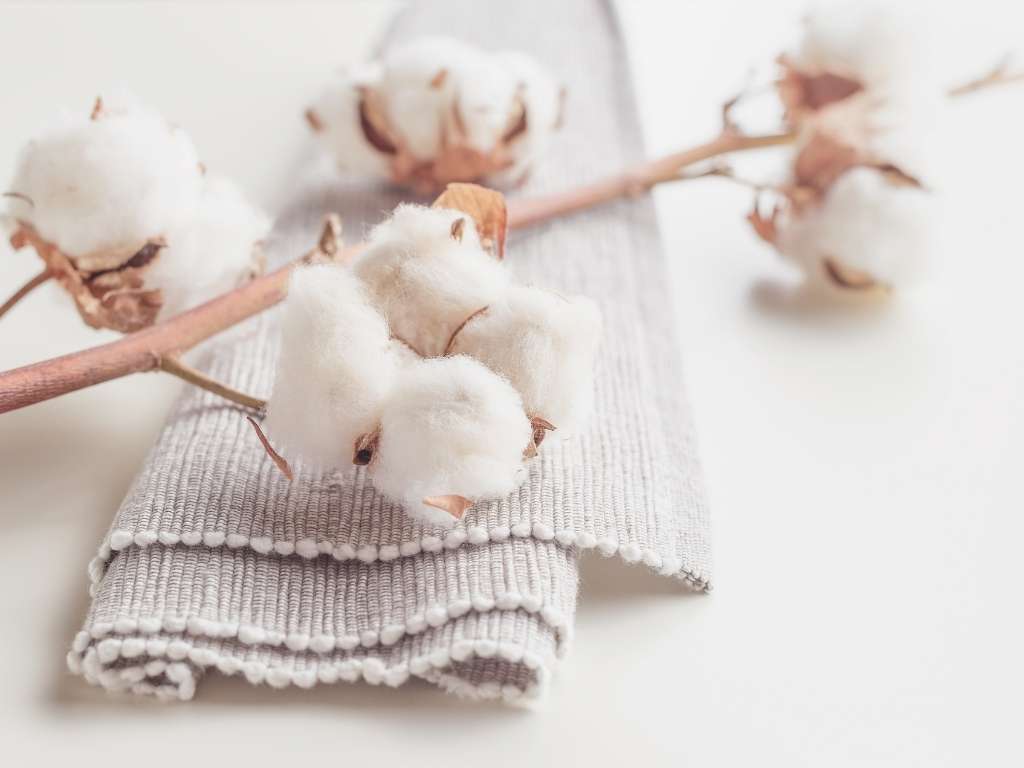 chất cotton là gì?